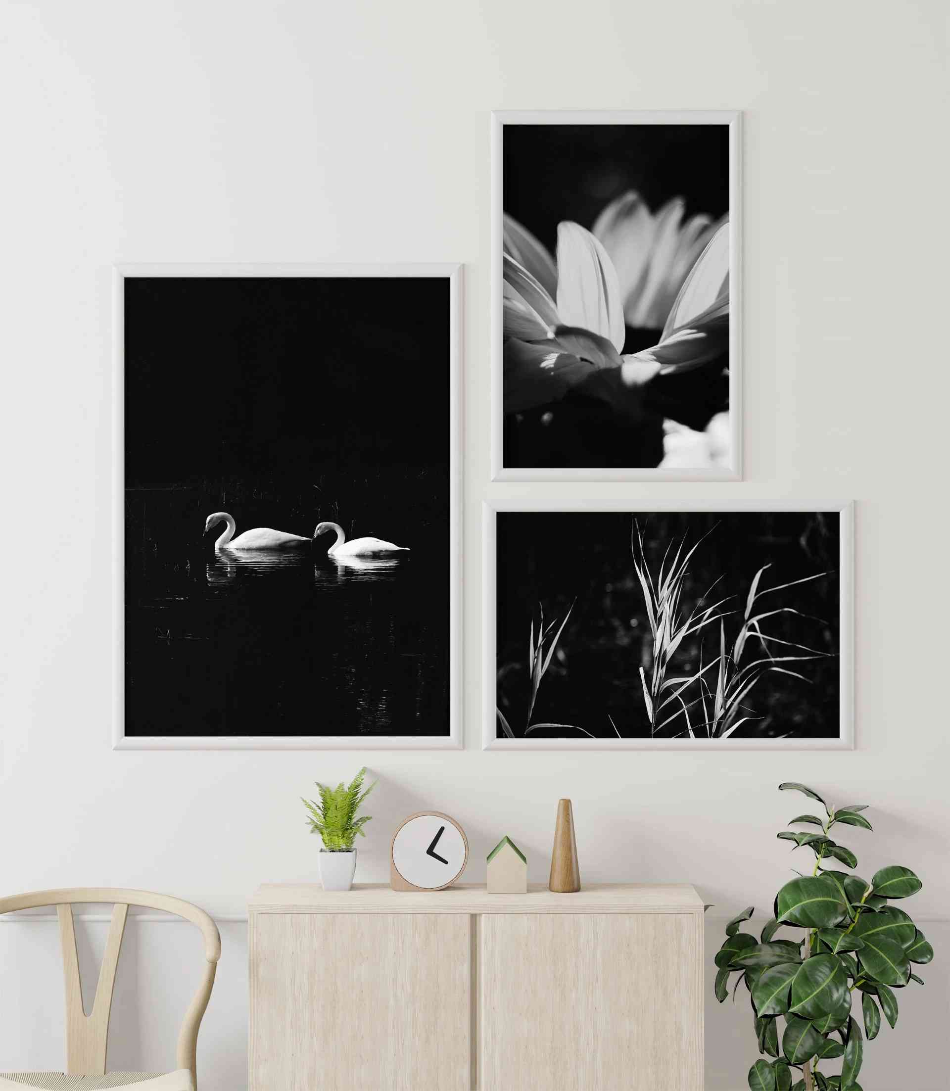 Chic Drawer Wall Arrangement